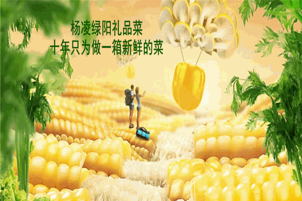 楊凌綠陽禮品菜