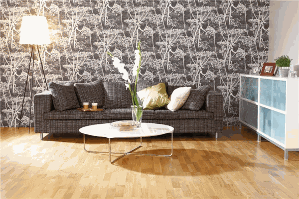 LAK歐洲進口木地板