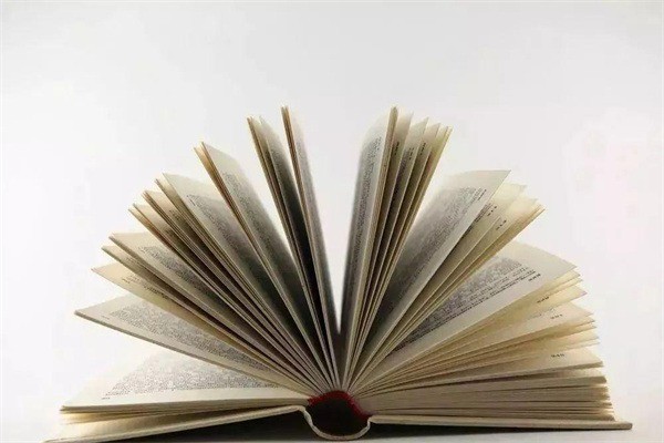 憶學(xué)優(yōu)大語文