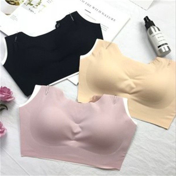 私の森語內(nèi)衣