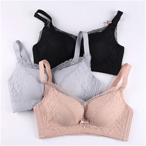 私の森語內(nèi)衣