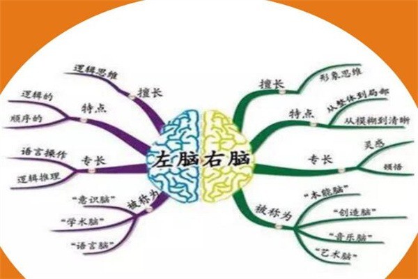 王牌右腦開發(fā)