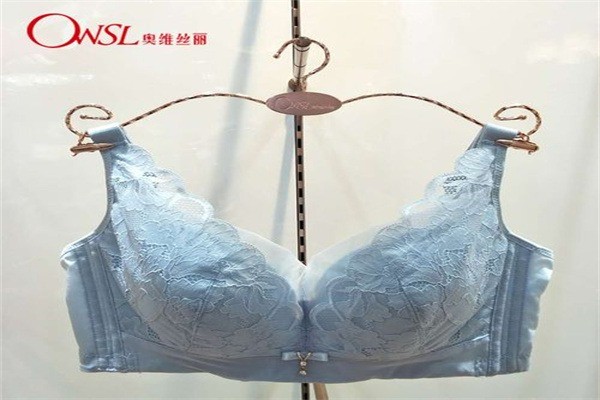 奧維絲麗內(nèi)衣