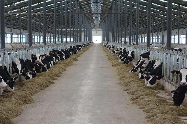 緣天然乳業(yè)