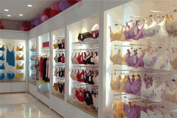 麗人花內(nèi)衣