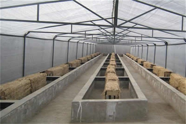 農(nóng)裕豐蝎子養(yǎng)殖