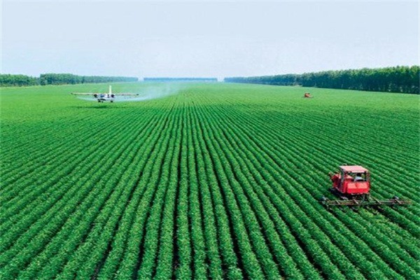 葉虹時光農(nóng)資