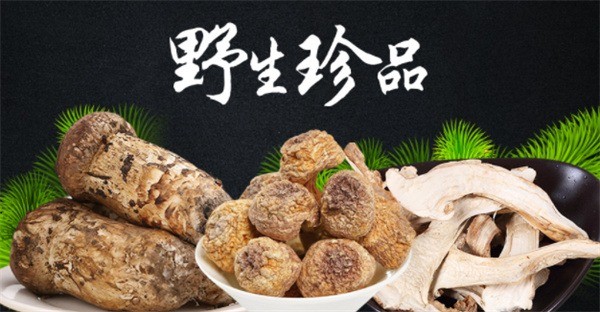 華盛興邦生態(tài)農(nóng)業(yè)