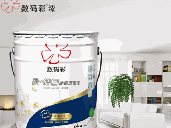 數(shù)碼彩涂料