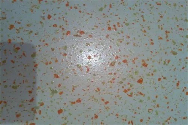 康美凈3d彩粒漆