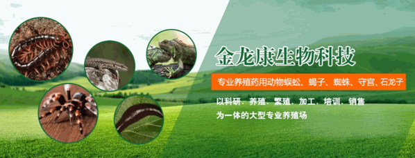 利民金頭蜈蚣養(yǎng)殖