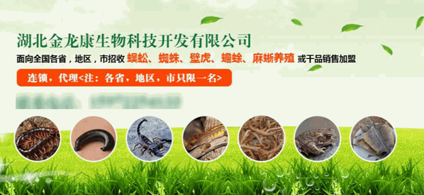 利民金頭蜈蚣養(yǎng)殖