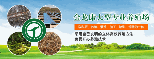 利民金頭蜈蚣養(yǎng)殖