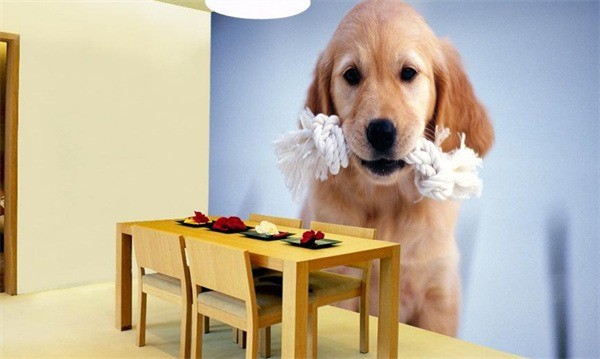 韓國BJ壁畫墻紙