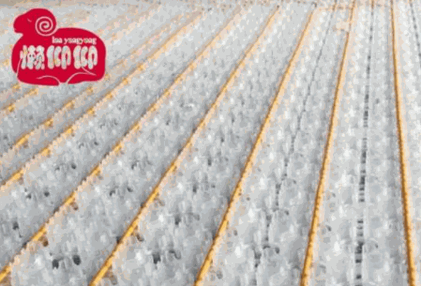 懶仰仰碳纖維地暖