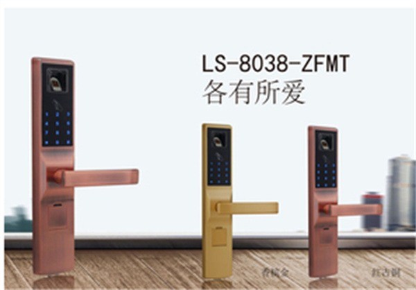 創(chuàng)佳鎖業(yè)