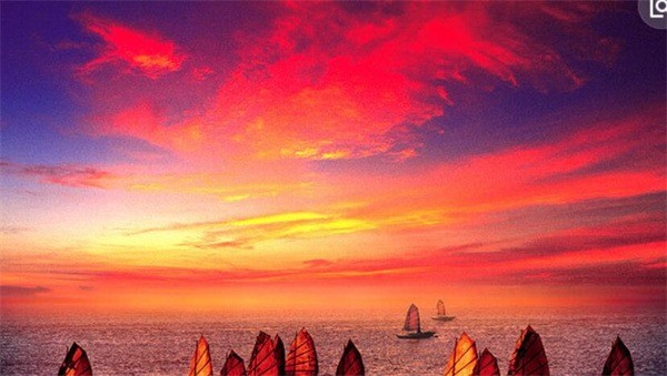 皇冠馬全景畫(huà)