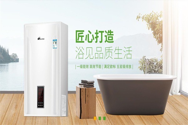 凱姆燃?xì)獗趻鞝t