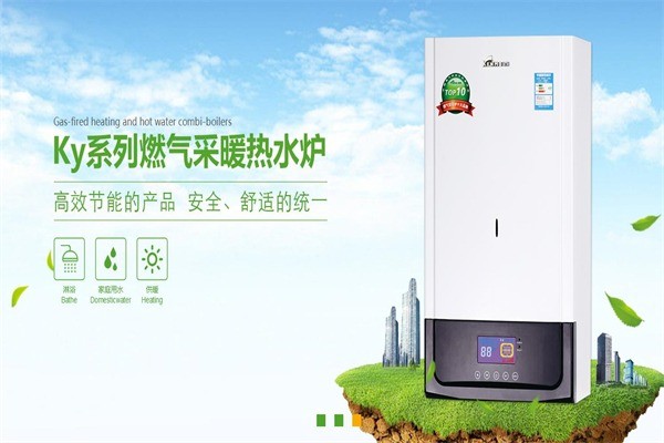 凱姆燃?xì)獗趻鞝t