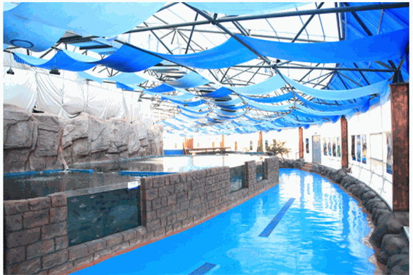 水世界水療會(huì)所