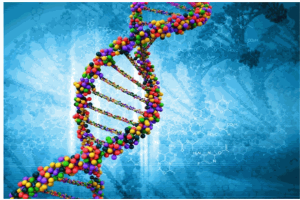 凱達(dá)美生物