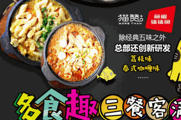 貓贊藤椒啵啵魚(yú)