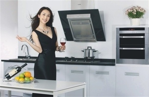 德樂(lè)廚衛(wèi)電器