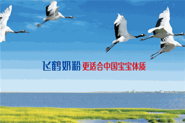 飛鶴嬰幼兒奶粉