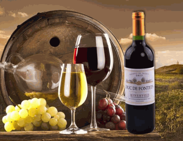 波爾多經(jīng)典干紅葡萄酒