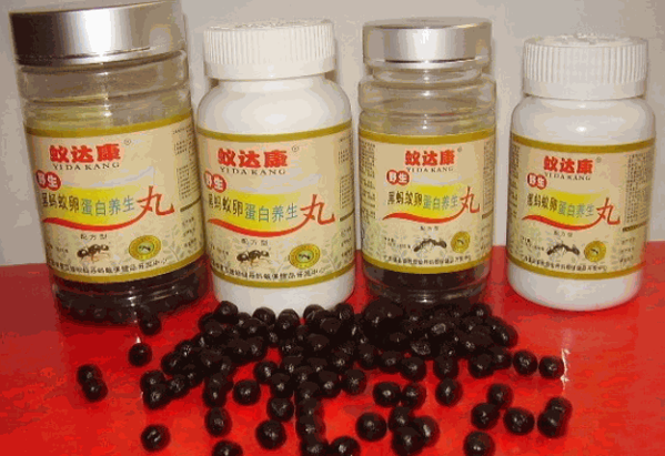 野生黑螞蟻干保健品