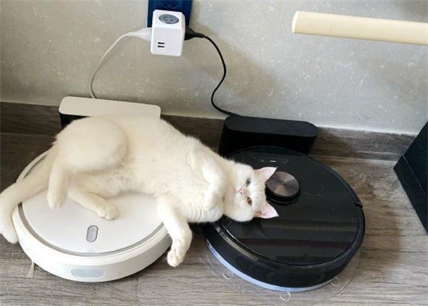 貓和掃地機(jī)器人