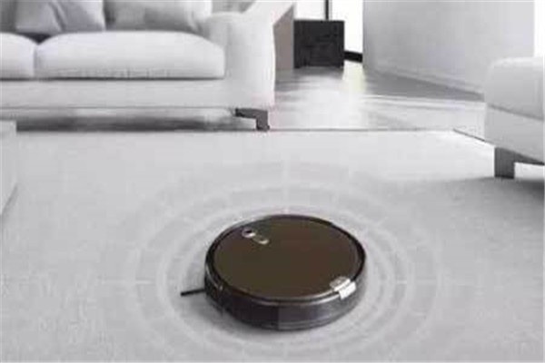 貓和掃地機(jī)器人
