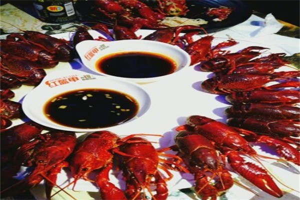 上海紅盔甲小龍蝦