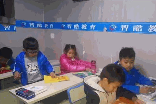 智酷教育