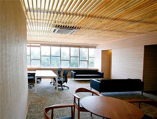 海龜夢(mèng)硅藻泥