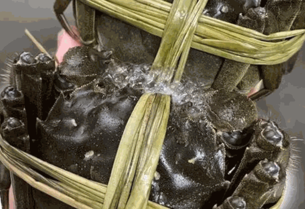 興化紅膏大閘蟹