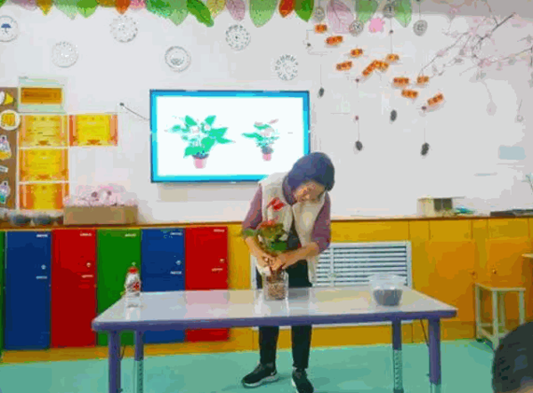 馨河雙語(yǔ)幼教中心