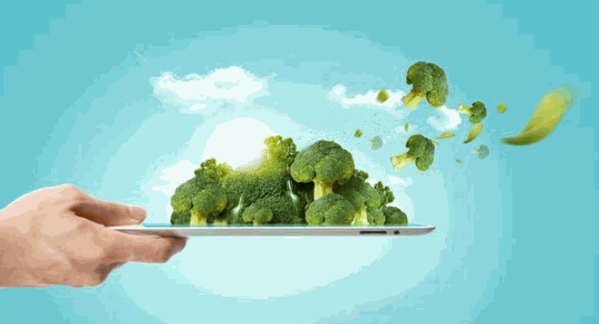 多功能綠色生態(tài)養(yǎng)殖儀