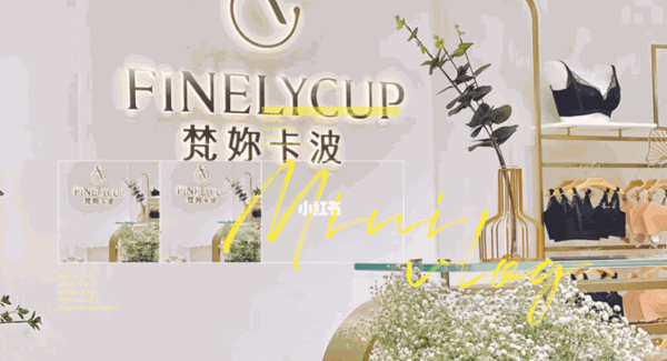 梵妳卡波無鋼圈內(nèi)衣