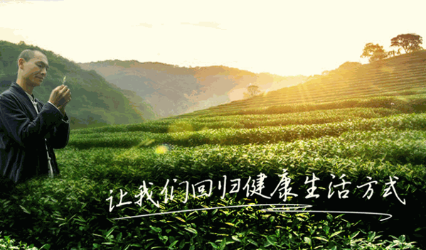 一葉一世界藏茶素火鍋