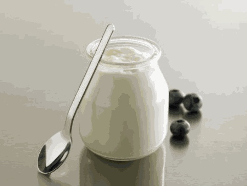 優(yōu)格酸奶吧