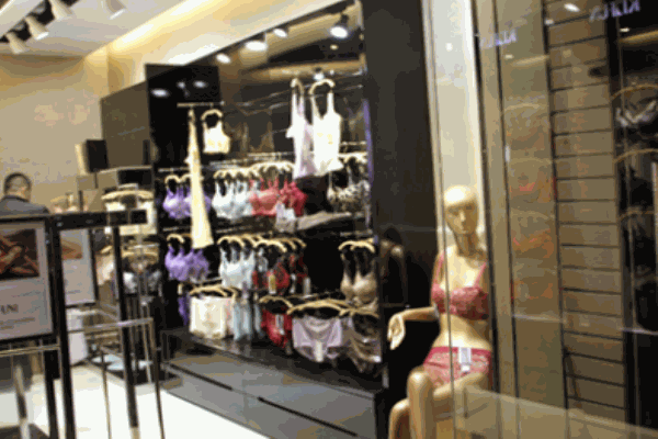 芬蒂雅內(nèi)衣