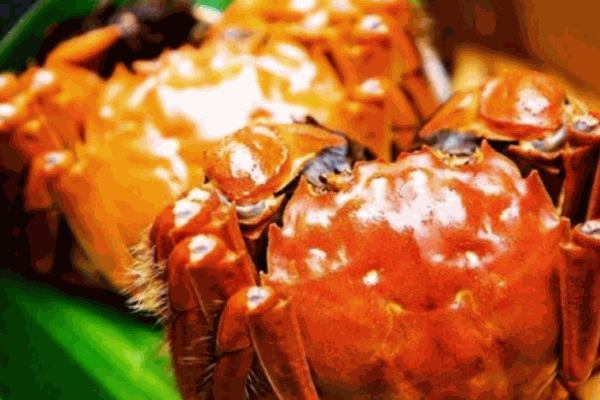 鮮品會(huì)大閘蟹