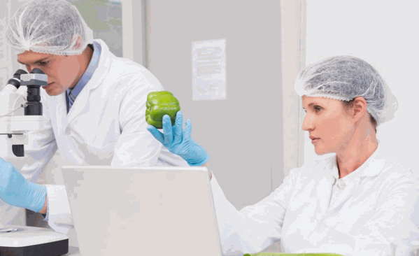 穗農(nóng)生物科技