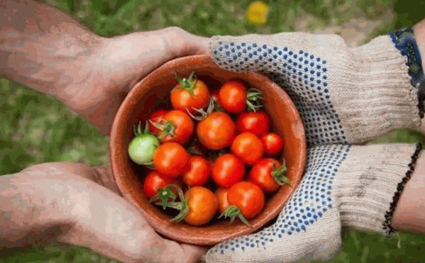 中國農(nóng)產(chǎn)品