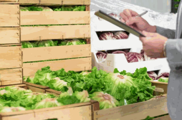 中國農(nóng)產(chǎn)品