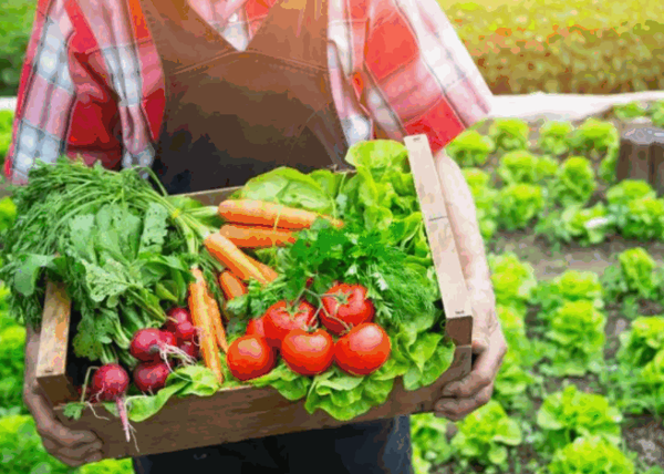 中國農(nóng)產(chǎn)品