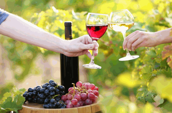 天使之園葡萄酒