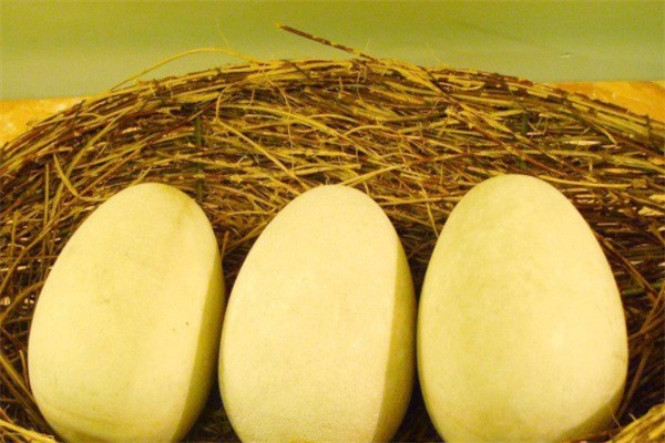 土大媽農(nóng)業(yè)