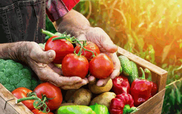 農(nóng)特農(nóng)產(chǎn)品